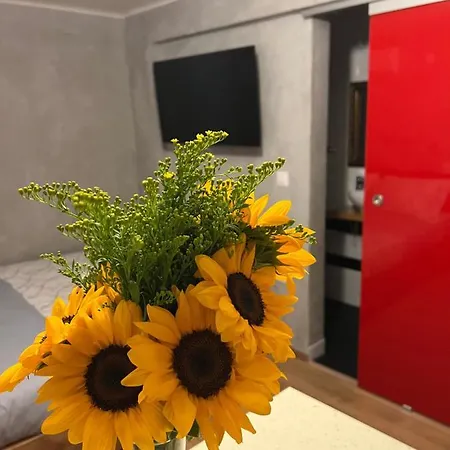 Cozy Tiny Apartment In The Heart Of Plaka Athènes Extérieur photo