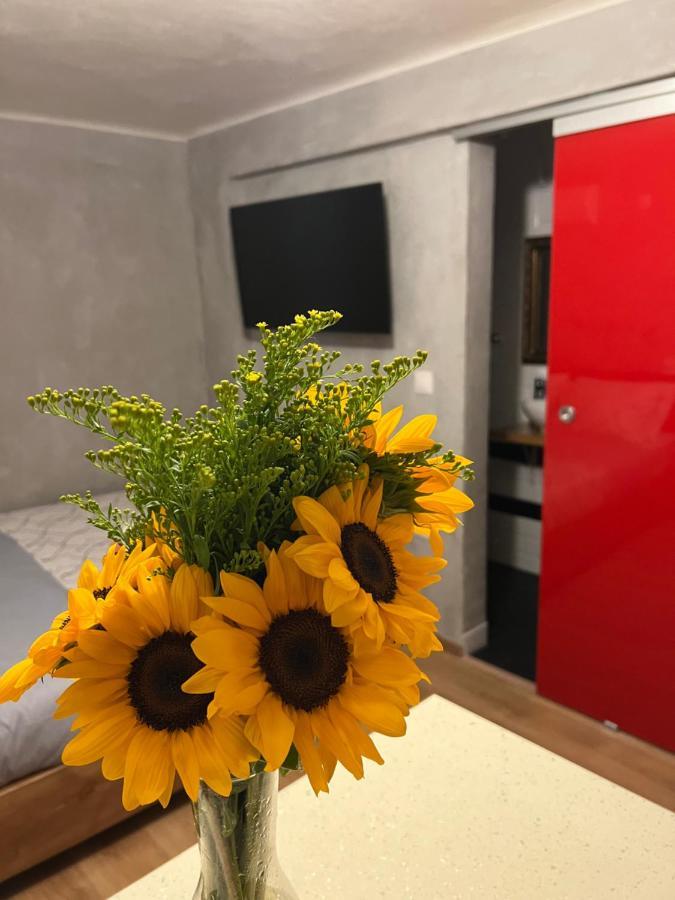 Cozy Tiny In The Heart Of Plaka Athens